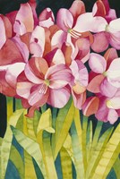 Merry Amaryllis Fine Art Print