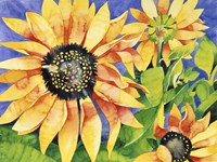 Magic Sunflowers Fine Art Print
