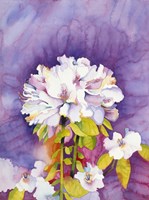 Moonflower Fine Art Print