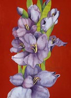 Glad Tidings Fine Art Print