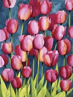 Pink Tulips Fine Art Print