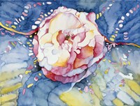 Essence Rose Fine Art Print