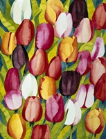 Colorful Tulips Fine Art Print