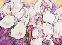 5 Iris Fine Art Print