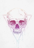 Skull In Triangle Fine Art Print