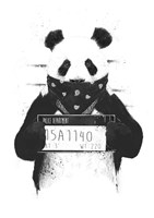Bad Panda Fine Art Print