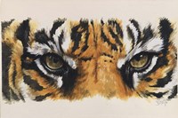 Eye-Catching Tiger Fine Art Print