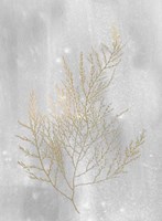 Gold Foil Algae II on Grey Wash Fine Art Print
