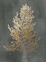 Gold Foil Algae IV on Black Wash Fine Art Print
