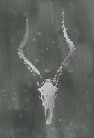 Silver Foil Rustic Mount II on Black Wash Fine Art Print