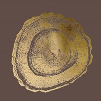 Gold Foil Tree Ring III on Bitter Chocolate Fine Art Print