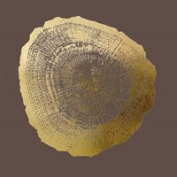 Gold Foil Tree Ring IV on Bitter Chocolate Fine Art Print