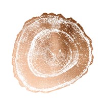 Rose Gold Foil Tree Ring III Fine Art Print