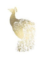 Gold Foil Peacock I Fine Art Print