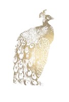 Gold Foil Peacock II Fine Art Print