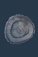 Silver Foil Tree Ring III on Cobalt Fine Art Print