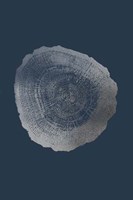 Silver Foil Tree Ring IV on Cobalt Fine Art Print