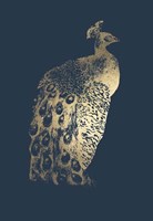 Gold Foil Peacock II on Cobalt Fine Art Print