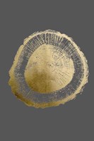 Gold Foil Tree Ring II on Dark Grey Fine Art Print