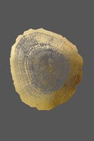 Gold Foil Tree Ring IV on Dark Grey Fine Art Print