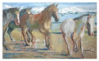 Caballos en la Playa Fine Art Print