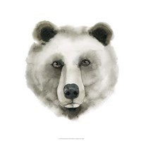 Watercolor Bear Fine Art Print
