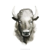 Watercolor Buffalo Fine Art Print