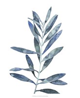 Indigo Leaves II Fine Art Print