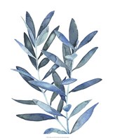 Indigo Leaves III Fine Art Print