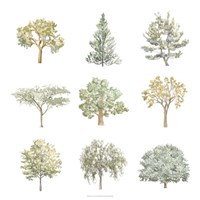 Tree Varieties I Fine Art Print