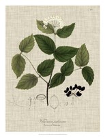 Linen & Leaves I Fine Art Print