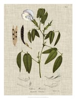Linen & Leaves IV Fine Art Print