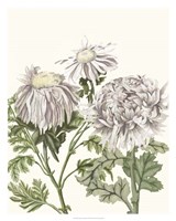 Early Spring Chrysanthemums I Fine Art Print
