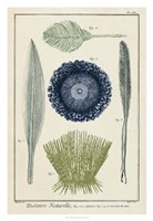 Ocean Oddity II Fine Art Print