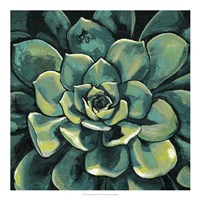 Succulent Bloom I Fine Art Print