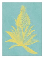 Pineapple Frais I Fine Art Print