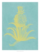 Pineapple Frais II Fine Art Print