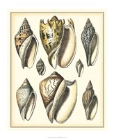 Of Sea and Shore II Fine Art Print