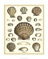 Of Sea and Shore III Fine Art Print