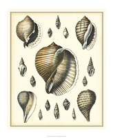 Of Sea and Shore IV Fine Art Print