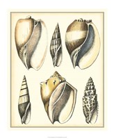 Of Sea and Shore V Fine Art Print