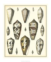 Of Sea and Shore VI Fine Art Print