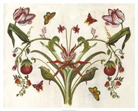 Botanical Hybrid II Fine Art Print