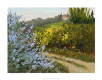 Rosemary by the Road Fine Art Print