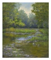 O'Bannon Creek Fine Art Print