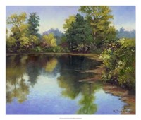 Summer Pond Fine Art Print