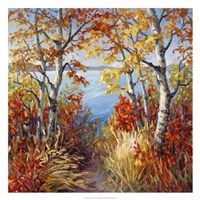Lake Aspen Fine Art Print