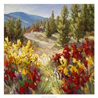 Pine Ridge Fine Art Print