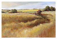 Moving Free Fine Art Print