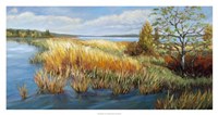 Marsh Edge Fine Art Print